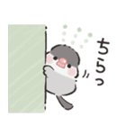 シックな文鳥さん（個別スタンプ：22）