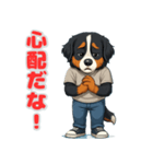 バーニーズの喜怒哀楽スタンプ1（個別スタンプ：13）
