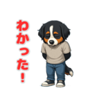 バーニーズの喜怒哀楽スタンプ1（個別スタンプ：15）