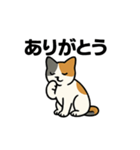 猫のちくちくまるまる（個別スタンプ：2）