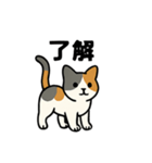 猫のちくちくまるまる（個別スタンプ：3）