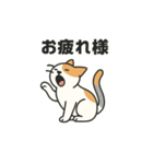 猫のちくちくまるまる（個別スタンプ：4）
