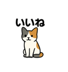 猫のちくちくまるまる（個別スタンプ：5）