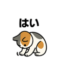 猫のちくちくまるまる（個別スタンプ：7）