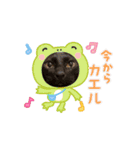 お酒とネコ好きな日常会話36（個別スタンプ：3）