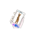 お酒とネコ好きな日常会話36（個別スタンプ：14）
