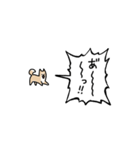 ▶︎動く！叫ぶ小さい柴犬（個別スタンプ：1）