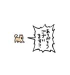 ▶︎動く！叫ぶ小さい柴犬（個別スタンプ：7）