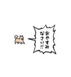 ▶︎動く！叫ぶ小さい柴犬（個別スタンプ：9）