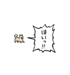 ▶︎動く！叫ぶ小さい柴犬（個別スタンプ：10）