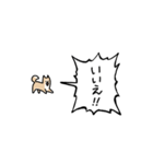 ▶︎動く！叫ぶ小さい柴犬（個別スタンプ：11）