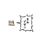 ▶︎動く！叫ぶ小さい柴犬（個別スタンプ：12）