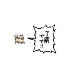 ▶︎動く！叫ぶ小さい柴犬（個別スタンプ：14）