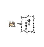 ▶︎動く！叫ぶ小さい柴犬（個別スタンプ：15）