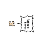 ▶︎動く！叫ぶ小さい柴犬（個別スタンプ：17）