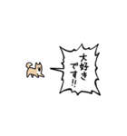 ▶︎動く！叫ぶ小さい柴犬（個別スタンプ：20）