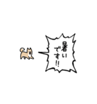 ▶︎動く！叫ぶ小さい柴犬（個別スタンプ：22）