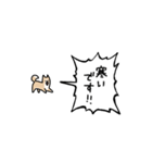 ▶︎動く！叫ぶ小さい柴犬（個別スタンプ：23）