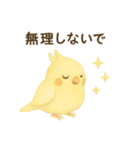 癒しのモフモフ鳥スタンプ（個別スタンプ：11）