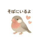 癒しのモフモフ鳥スタンプ（個別スタンプ：19）