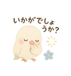 癒しのモフモフ鳥スタンプ（個別スタンプ：25）