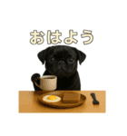 リアルブラックパグ(日常)（個別スタンプ：10）