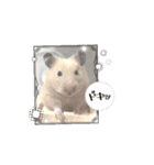 たかまつけのかぞくたち（個別スタンプ：7）