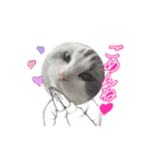たかまつけのかぞくたち（個別スタンプ：8）