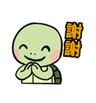 かわいいカメHK（個別スタンプ：1）