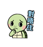 かわいいカメHK（個別スタンプ：2）