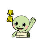 かわいいカメHK（個別スタンプ：4）