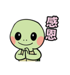 かわいいカメHK（個別スタンプ：5）