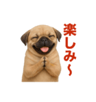 リアルパグ(日常)（個別スタンプ：8）