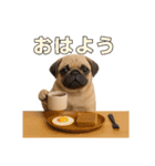 リアルパグ(日常)（個別スタンプ：13）