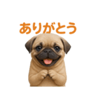 リアルパグ(日常)（個別スタンプ：15）