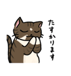 さんとら隊＋α 2（個別スタンプ：4）