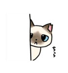 さんとら隊＋α 2（個別スタンプ：13）