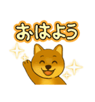 柴犬普段使いスタンプver.1（個別スタンプ：1）