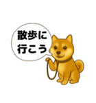 柴犬普段使いスタンプver.1（個別スタンプ：3）