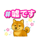柴犬普段使いスタンプver.1（個別スタンプ：5）