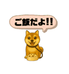 柴犬普段使いスタンプver.1（個別スタンプ：6）