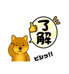 柴犬普段使いスタンプver.1（個別スタンプ：8）