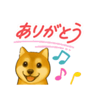 柴犬普段使いスタンプver.1（個別スタンプ：14）