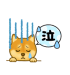 柴犬普段使いスタンプver.1（個別スタンプ：16）