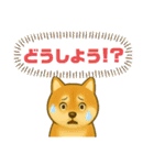 柴犬普段使いスタンプver.1（個別スタンプ：17）