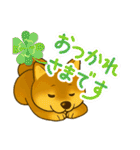 柴犬普段使いスタンプver.1（個別スタンプ：20）