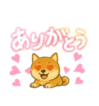 柴犬普段使いスタンプver.1（個別スタンプ：21）