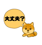 柴犬普段使いスタンプver.1（個別スタンプ：22）