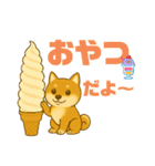 柴犬普段使いスタンプver.1（個別スタンプ：25）