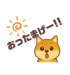 柴犬普段使いスタンプver.1（個別スタンプ：26）